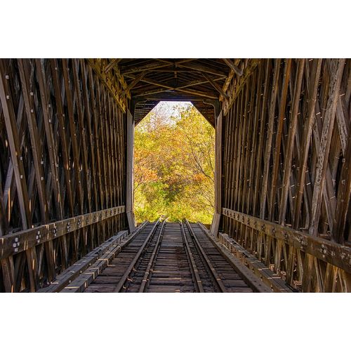 Jones, Allison 아티스트의 USA-Vermont-Fall foliage seen off Rt 15-Wolcott-Fisher Covered Railroad Bridge (1908)작품입니다.